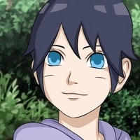 Uzumaki Himawari