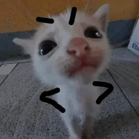 T/g vô tri :))))