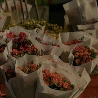 Nhân vật phụ