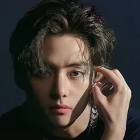 Kim Taehyunh(V)