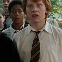Ron Weasly 