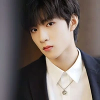 Lưu Diệu Văn(🐺)