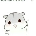 Trợ lý xênh xắn