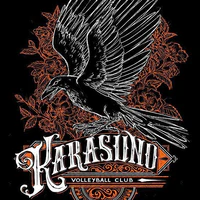 Karasuno team