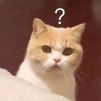 mỹ nam _ tác giả