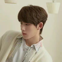 Đinh Trình Hâm