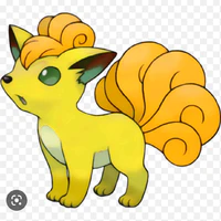 Rokon