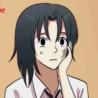 An (não lợn)