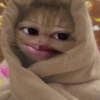 con nhỏ tác giả