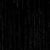 n/v phụ