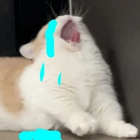 tg