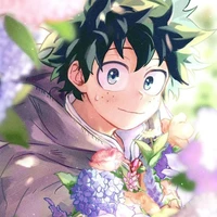 Midoriya Izuku - Deku
