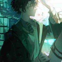 Harry James Potter (Harry Evans)