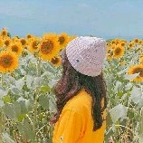 아미 (Ami)