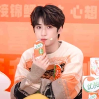 Nghiêm Hạo Tường 