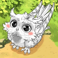 Kikou