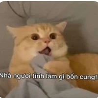 All_Mọi Người