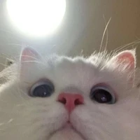 ♡BWDN là chân ái♡