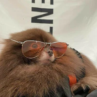 Kuma