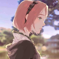 Sakura
