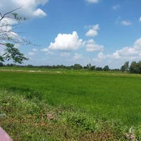 mọi người