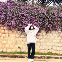 DThuy