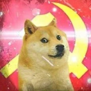 Coan tác giả