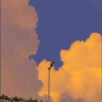 All