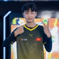 Boy tây