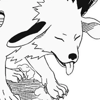 akamaru