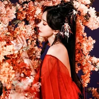 Đàm Đài Phù Ngọc