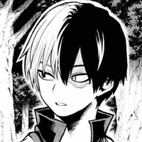 Shoto todoroki