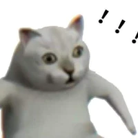 NVP/??