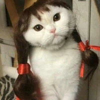 Tác giả hỗn:)))