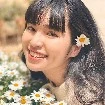 Vân Anh