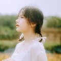 tác giả- thùng bê tông