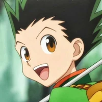 Gon Freecss
