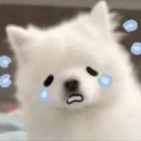 Sapphire_Nguyệt Tử