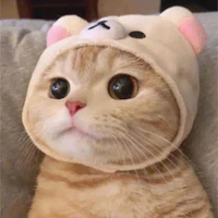 Tác giả