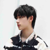 Đinh Trình Hâm