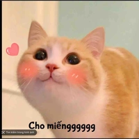 T/G