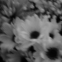 Người bán Takayaki