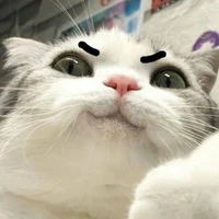 Tác giả mê zai 2d