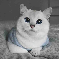 Mimi
