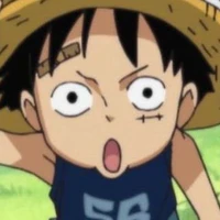 Monkey.D.Luffy