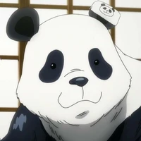 Panda_ Năm nhất