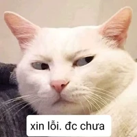 Tác giả nè!!