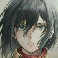 mikasa