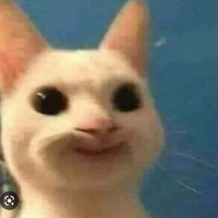 T/g