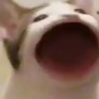 Tg
